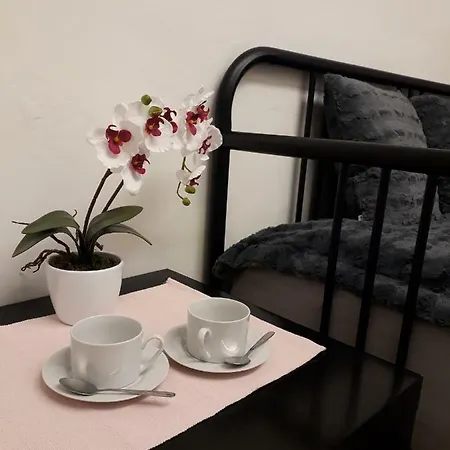 Guest house Trdinova Base *
